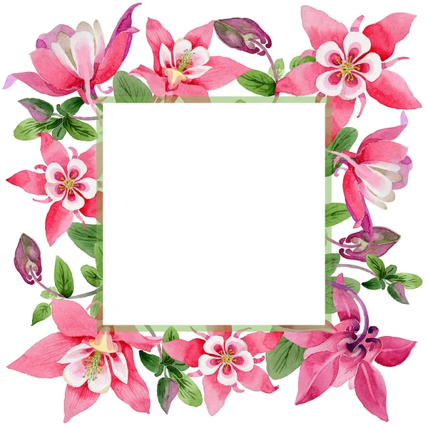 Vadvirág aquilegia virág keret akvarell stílusú. — Stock Fotó