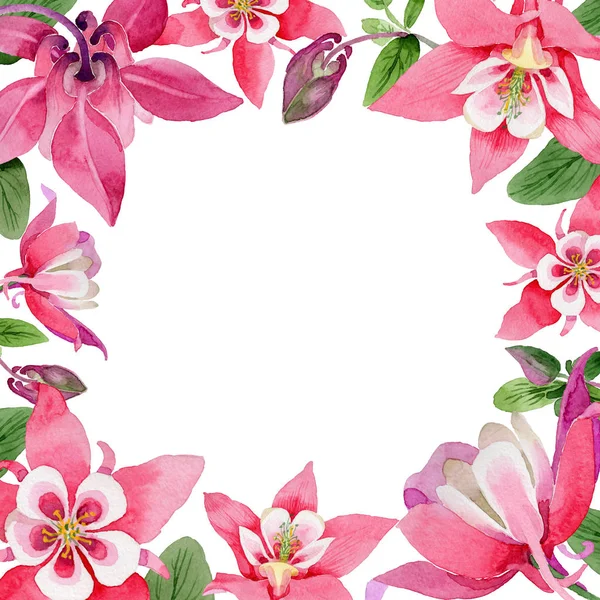 Wildflower aquilegia flower frame in a watercolor style. — Stock Photo, Image
