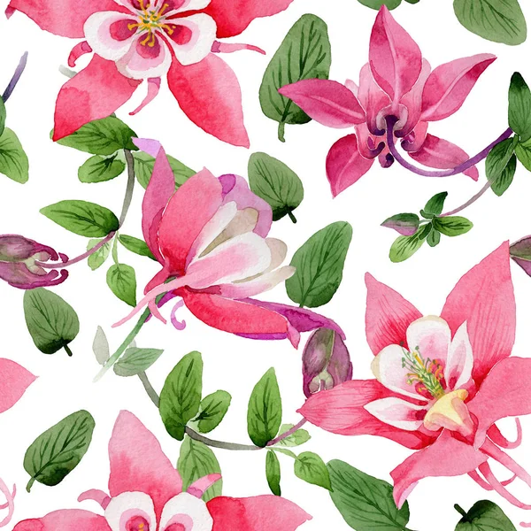Wildflower aquilegia flower pattern in a watercolor style. — Stock Photo, Image