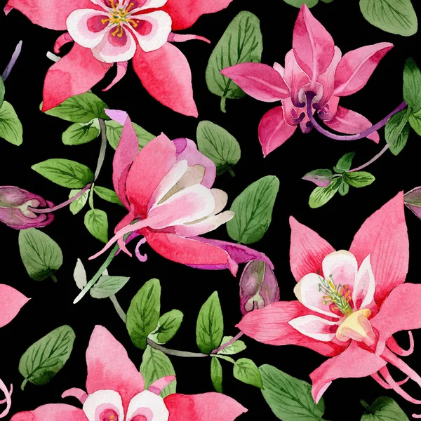 Kır çiçeği aquilegia çiçek deseni suluboya tarzında.