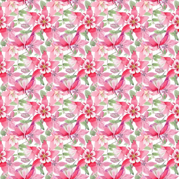 Wildblumen-Aquilegien-Blumenmuster im Aquarell-Stil. — Stockfoto