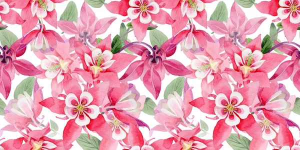 Kır çiçeği aquilegia çiçek deseni suluboya tarzında.