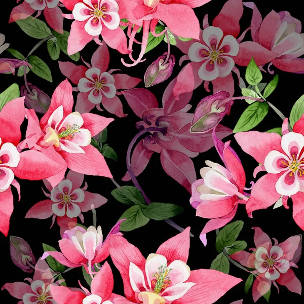 Wildflower aquilegia λουλούδι μοτίβο σε στυλ υδροχρώματος. — Φωτογραφία Αρχείου