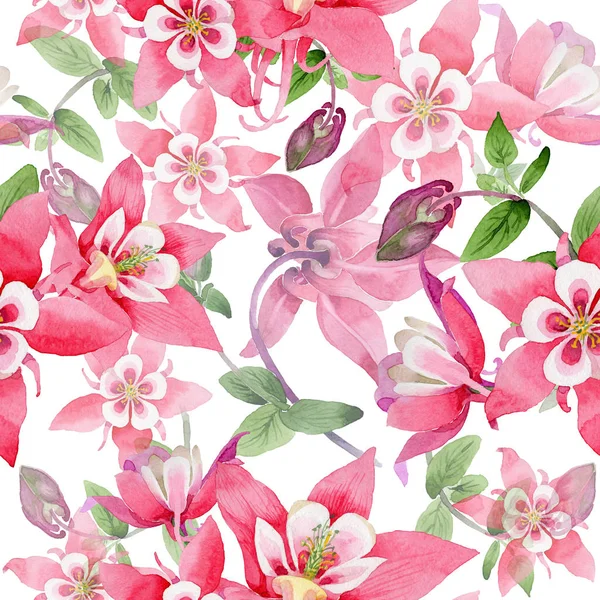 Wildflower aquilegia květinový vzor ve stylu akvarelu. — Stock fotografie