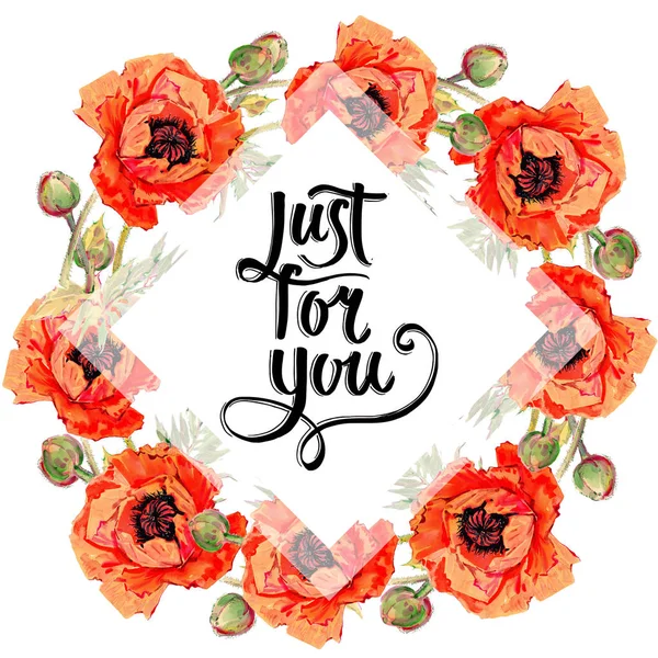 Kır çiçeği haşhaş çiçek çerçeve suluboya tarzında.