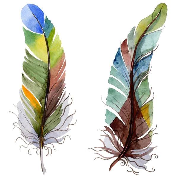 Watercolor bird feather from wing isolated. — Stock Photo, Image