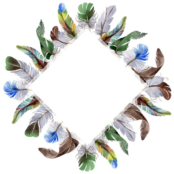 Suluboya kuş kanat tüy çerçevesinden.