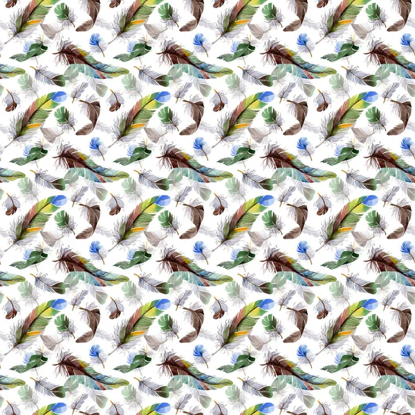 Watercolor bird feather pattern from wing. — Stock Photo, Image