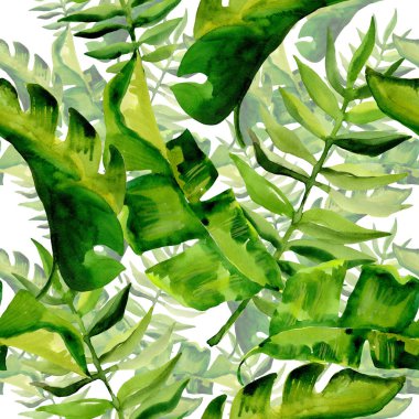 Tropikal Hawaii palmiye ağacı desen bir suluboya tarzında bırakır..