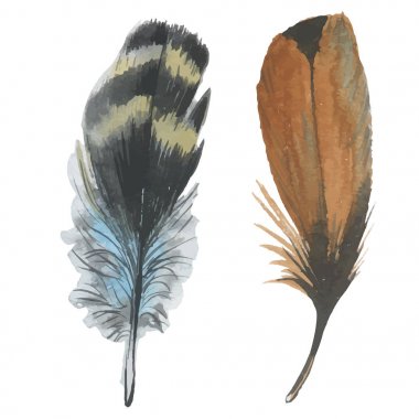 Vektör kuş tüyü izole kanat üzerinden.