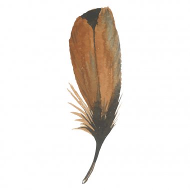 Vektör kuş tüyü izole kanat üzerinden.