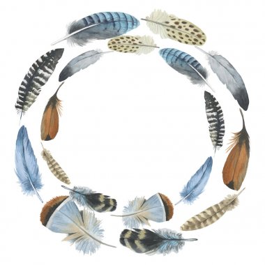 Vektör kuş tüyü izole kanat üzerinden.