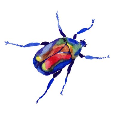 Egzotik cetoniinae izole bir vektör tarzı yabani böcek.