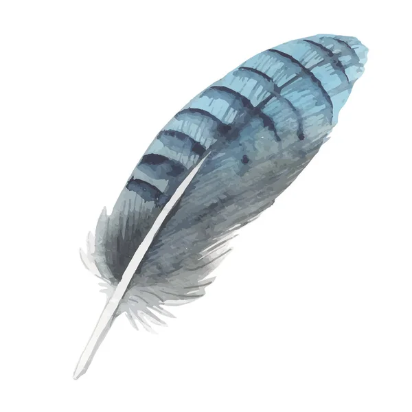 Plume d'oiseau vecteur de l'aile isolée . — Image vectorielle