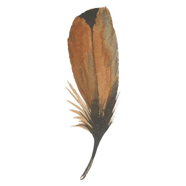 Pluma de ave vectorial del ala aislada . — Archivo Imágenes Vectoriales