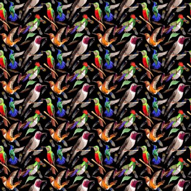 Gökyüzü kuş colibri desende bir yaban hayatı suluboya stili tarafından.