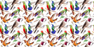 Gökyüzü kuş colibri desende bir yaban hayatı suluboya stili tarafından.