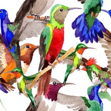 Gökyüzü kuş colibri desende bir yaban hayatı suluboya stili tarafından.