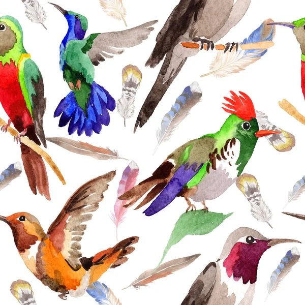 Sky bird colibri pattern in a wildlife by watercolor style. — Stock Photo, Image