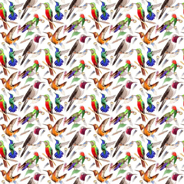 Sky bird colibri pattern in a wildlife by watercolor style. — Stock Photo, Image