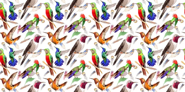 Sky bird colibri pattern in a wildlife by watercolor style. — Stock Photo, Image