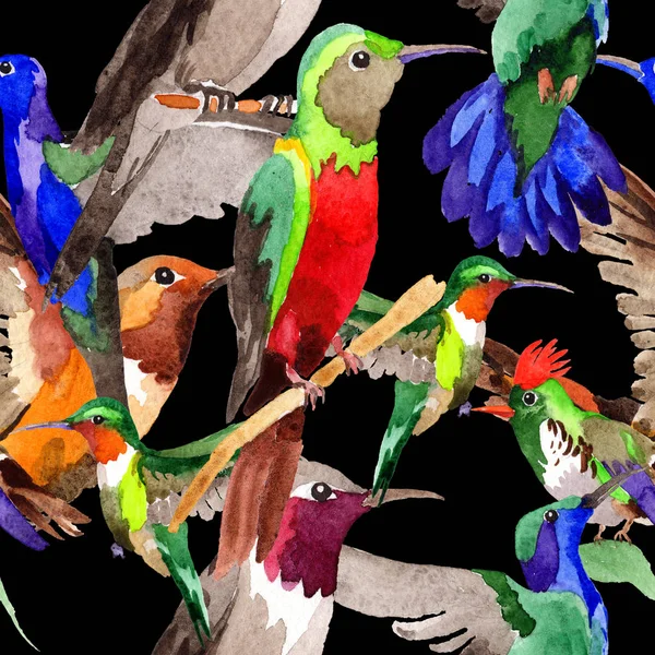 Niebo ptak colibri wzór w dzikich przez stylu przypominającym akwarele. — Zdjęcie stockowe