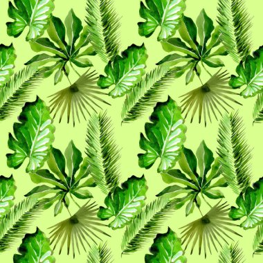 Tropikal Hawaii palmiye ağacı desen bir suluboya tarzında bırakır..