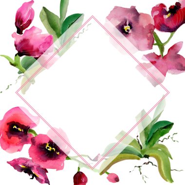 Kır çiçeği orkide çiçek çerçeve suluboya tarzında.