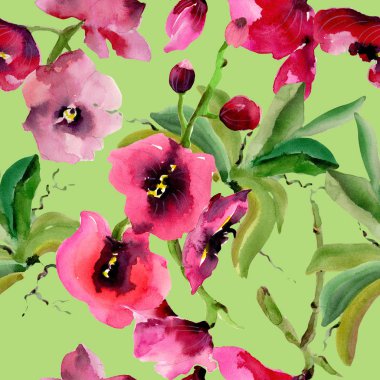 Kır çiçeği orkide çiçek deseni suluboya tarzında.