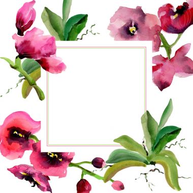 Kır çiçeği orkide çiçek çerçeve suluboya tarzında.