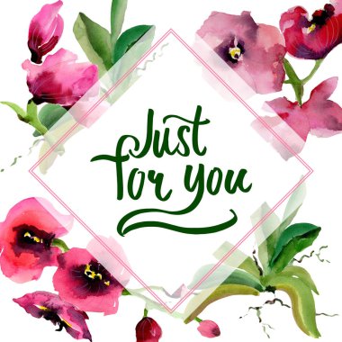 Kır çiçeği orkide çiçek çerçeve suluboya tarzında.