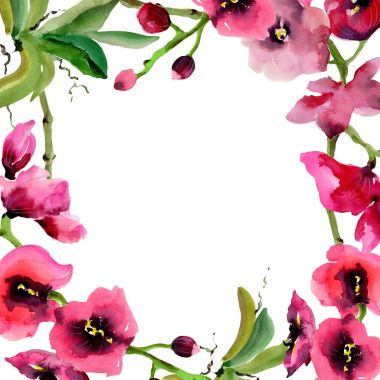 Kır çiçeği orkide çiçek çerçeve suluboya tarzında.