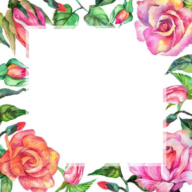 Kır çiçeği gül çiçek çerçeve suluboya tarzında.