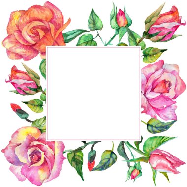 Kır çiçeği gül çiçek çerçeve suluboya tarzında.