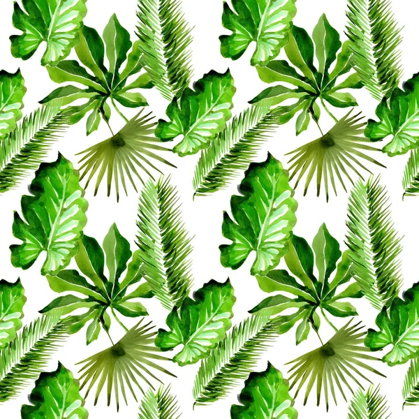 Тропические Гавайи листья пальмы узор в акварельном стиле . — стоковое фото