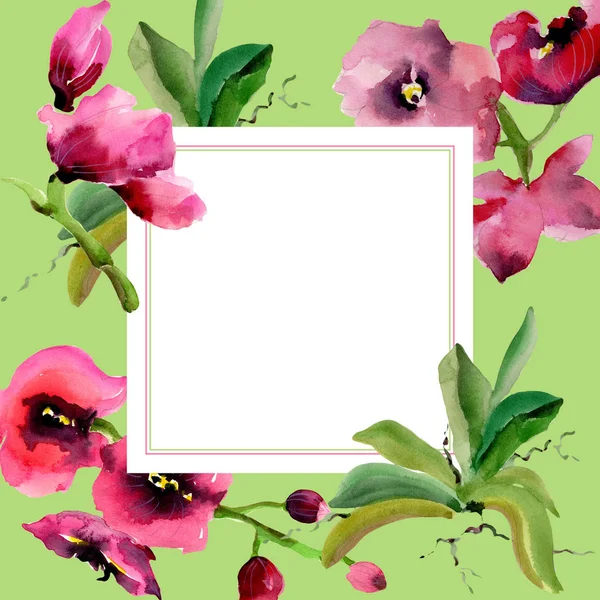 Wildflower orchideebloem frame in een aquarel stijl. — Stockfoto