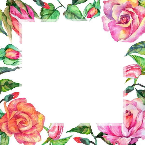 Kır çiçeği gül çiçek çerçeve suluboya tarzında.