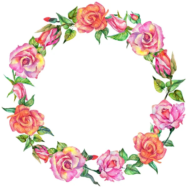 Wildflower rose flower wreath in a watercolor style. — Stock Photo, Image