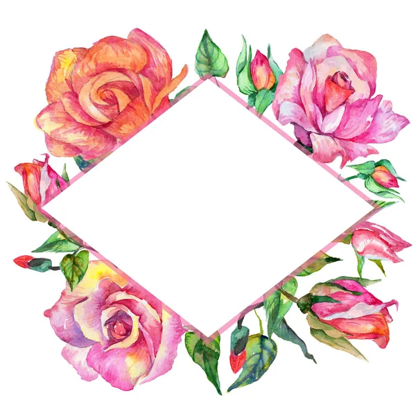 Wildflower roze bloem frame in een aquarel stijl. — Stockfoto
