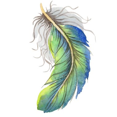 Vektör kuş tüyü izole kanat üzerinden.