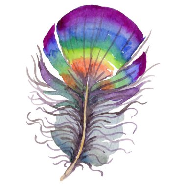 Vektör kuş tüyü izole kanat üzerinden.