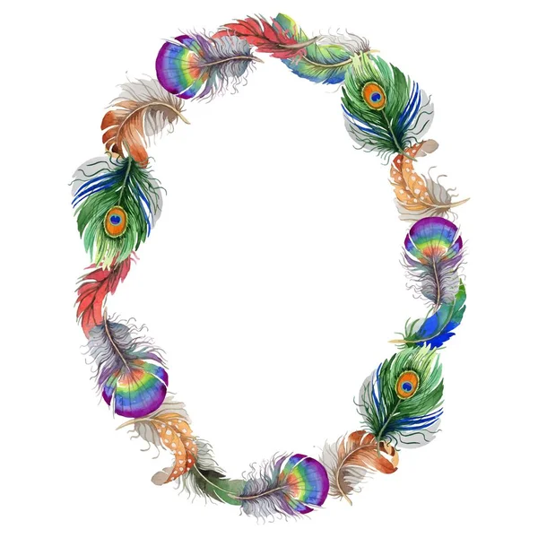 Vektör kuş tüyü çelenk Wing.