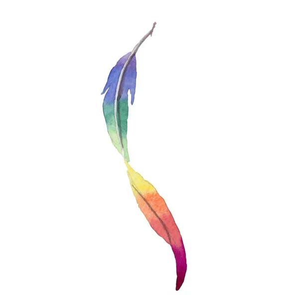 Pluma de ave vectorial del ala aislada . — Vector de stock