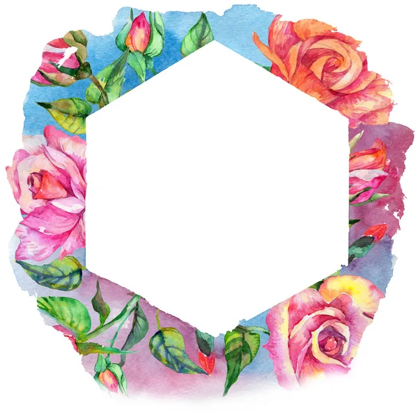 Kır çiçeği gül çiçek çerçeve suluboya tarzında.