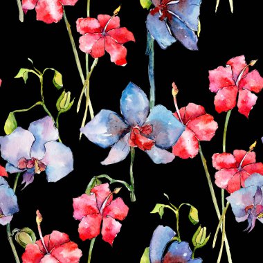 Kır çiçeği orkide çiçek deseni suluboya tarzında.