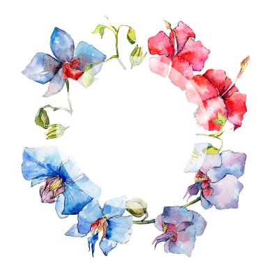 Kır çiçeği orkide çiçek çerçeve suluboya tarzında.