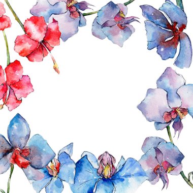 Kır çiçeği orkide çiçek çerçeve suluboya tarzında.