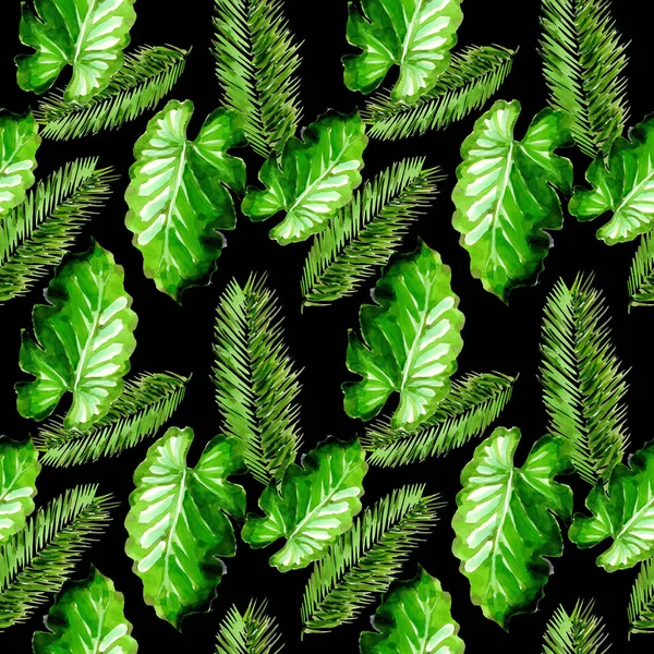 Tropikal Hawaii palmiye ağacı desen bir suluboya tarzında bırakır..