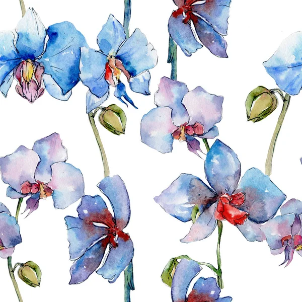 Kır çiçeği orkide çiçek deseni suluboya tarzında.