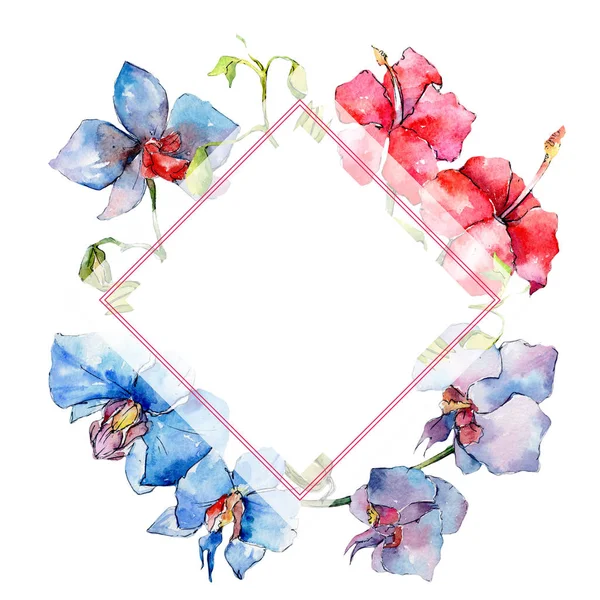 Kır çiçeği orkide çiçek çerçeve suluboya tarzında.